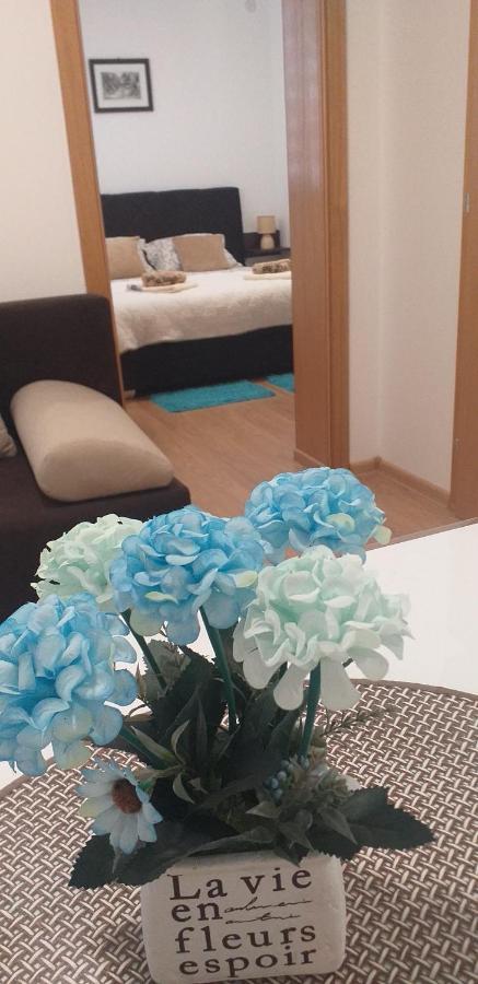 Apartman Golubovic Veliko Gradište Extérieur photo